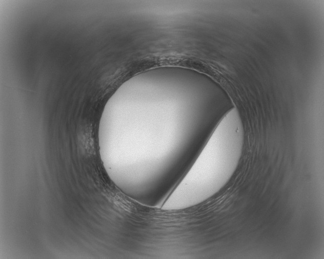 X0000062791252200512221122
