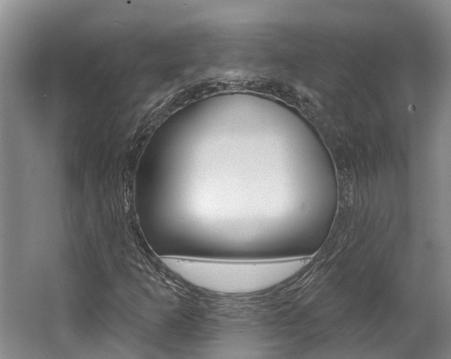 X0000062791253200512221122