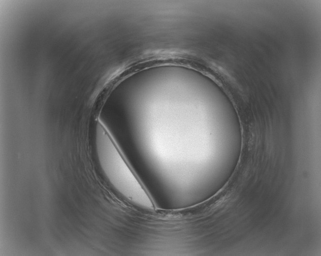 X0000062791261200512221122