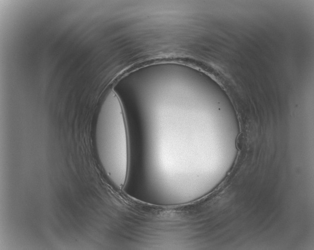 X0000062791265200512221122