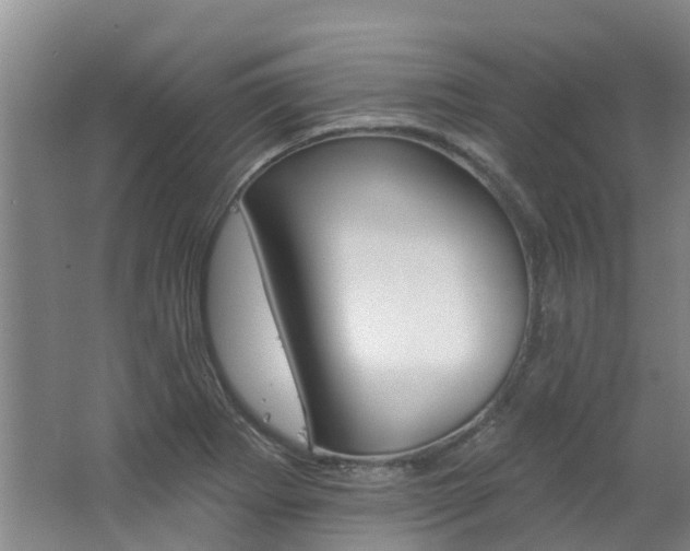 X0000062791273200512221122