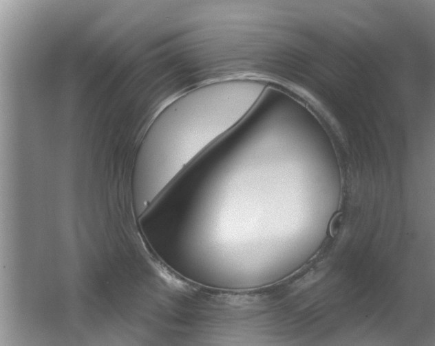 X0000062791289200512221122