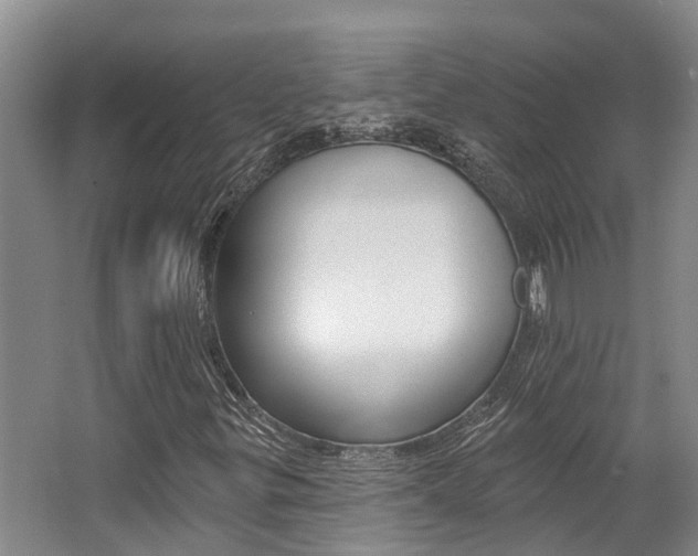 X0000062791299200512221121