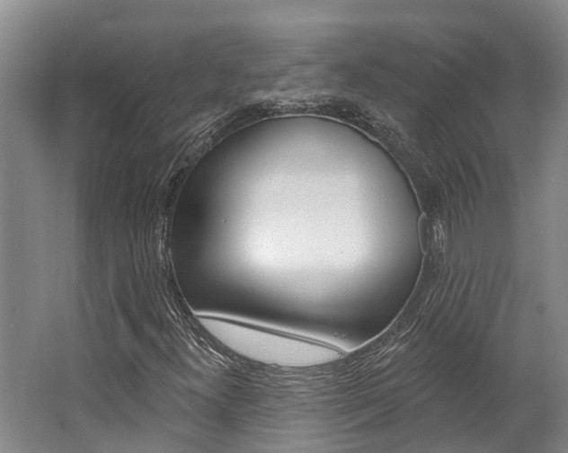 X0000062791300200512221121