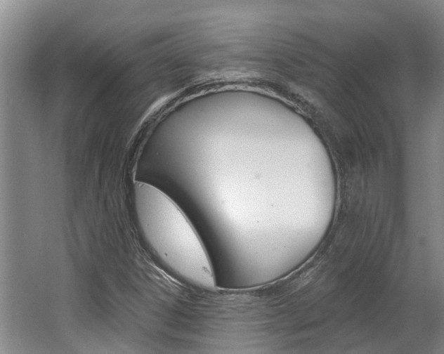 X0000062791306200512221121