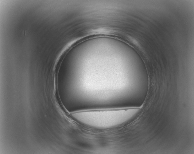 X0000062791323200512221121