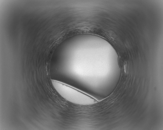 X0000062791347200512221121