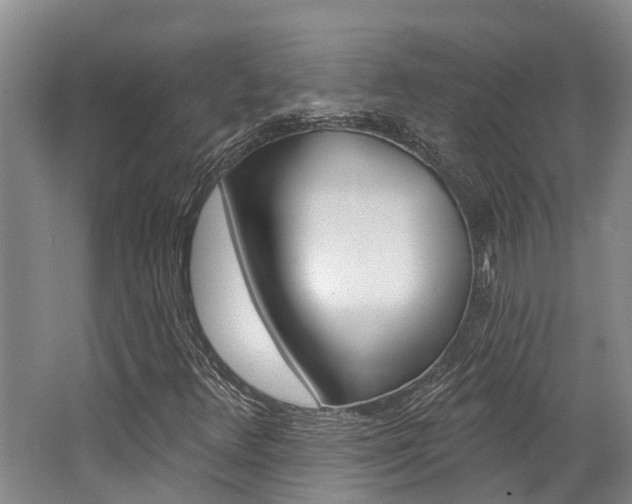 X0000062791348200512221121