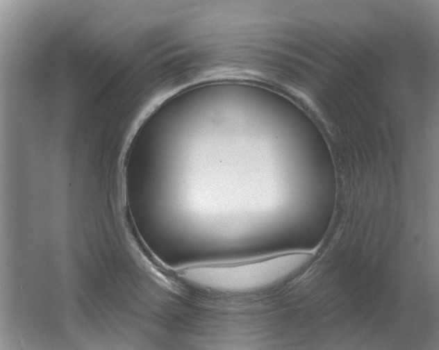 X0000062791371200512221120
