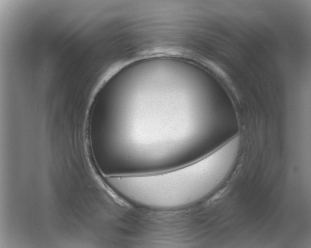 X0000062791373200512221120