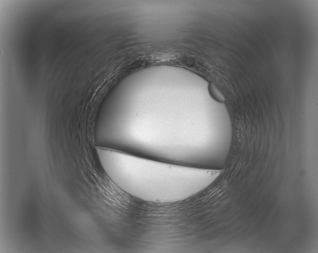 X0000062791393200512221119