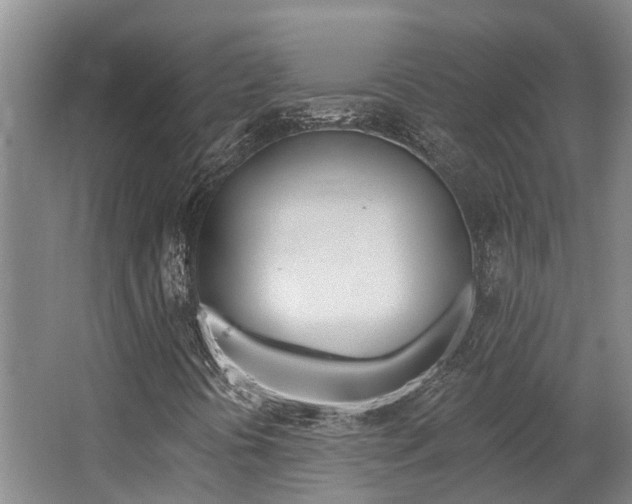 X0000062791394200512221119