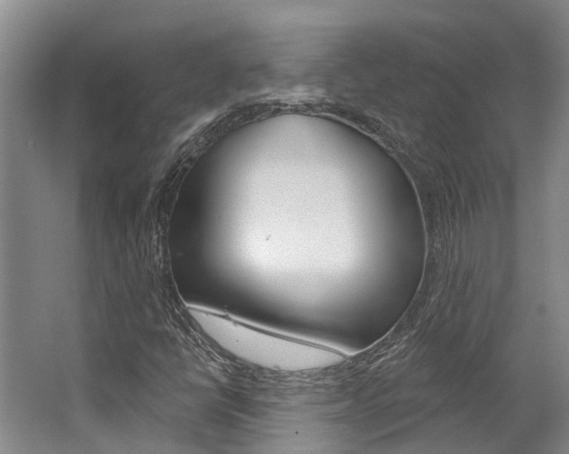 X0000062791398200512221119