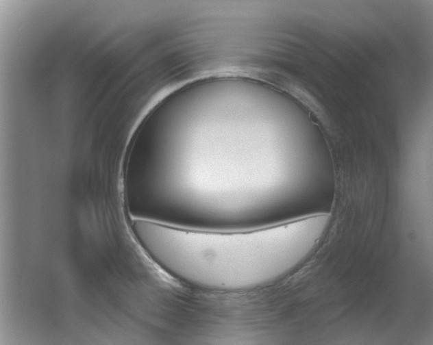 X0000062791428200512221120