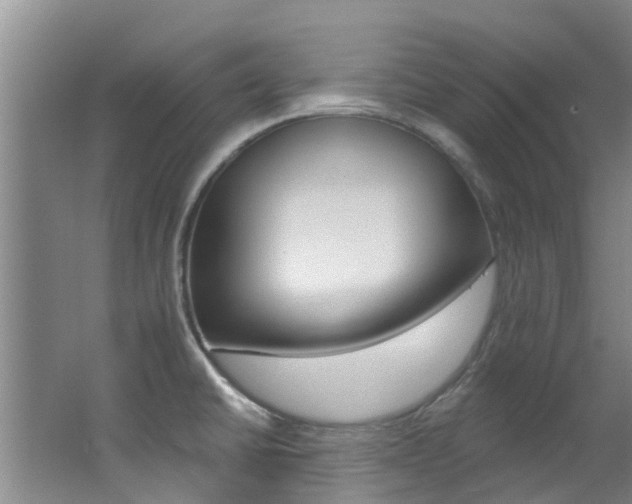X0000062791430200512221120
