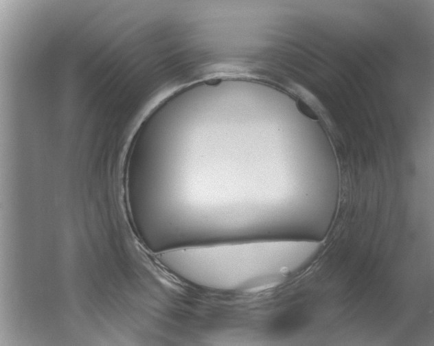 X0000062791435200512221120