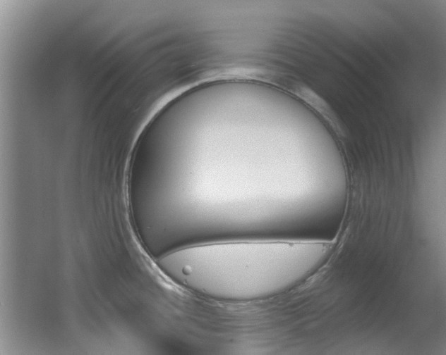 X0000062791436200512221120