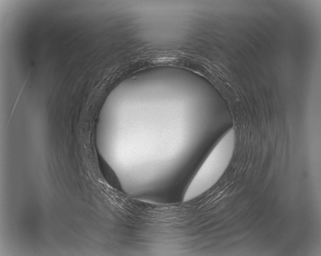 X0000062791441200512221119