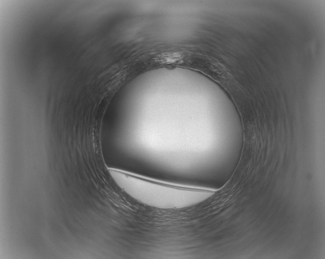 X0000062791442200512221119