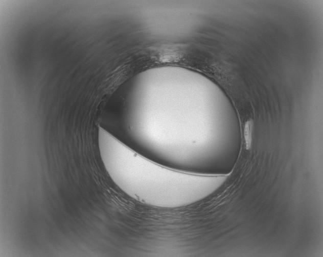 X0000062791443200512221119