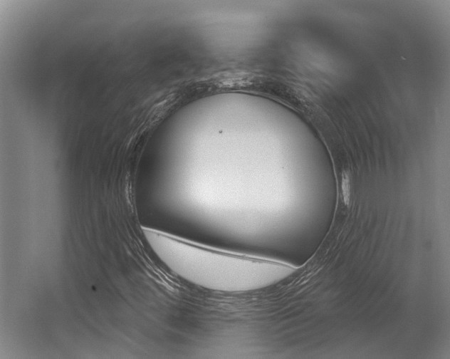 X0000062791444200512221119