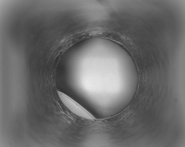X0000062791445200512221119