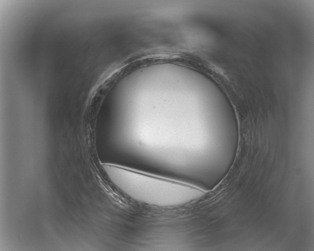 X0000062791448200512221119
