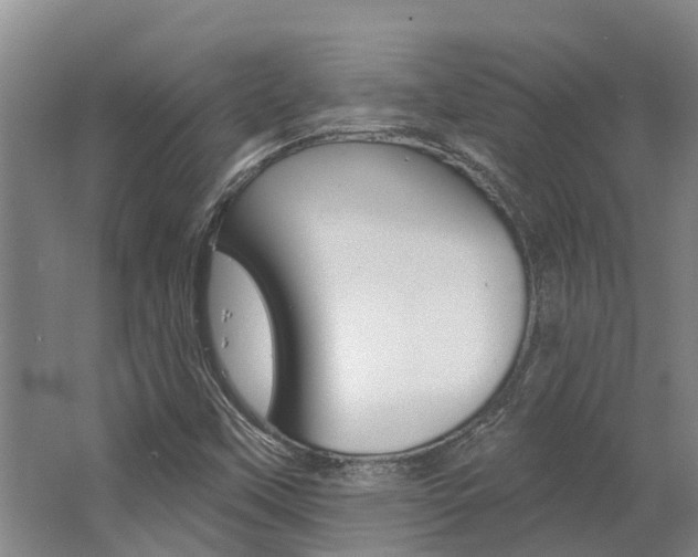 X0000062791451200512221119