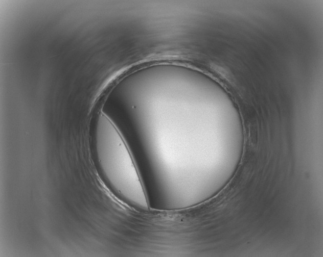X0000062791452200512221119