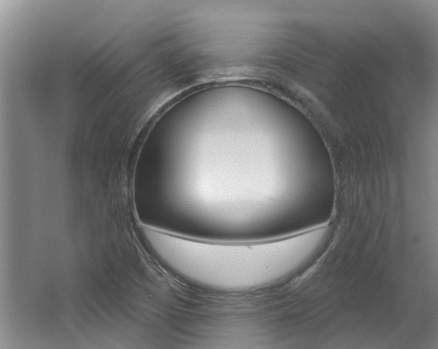 X0000062791457200512221119