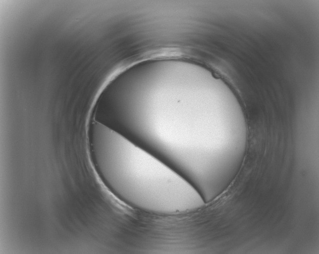 X0000062791475200512221119