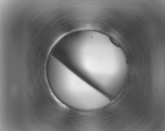 X0000062791476200512221119