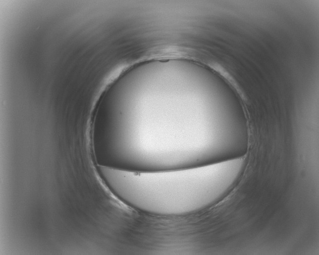 X0000062791477200512221119