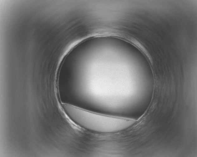 X0000062791485200512221118