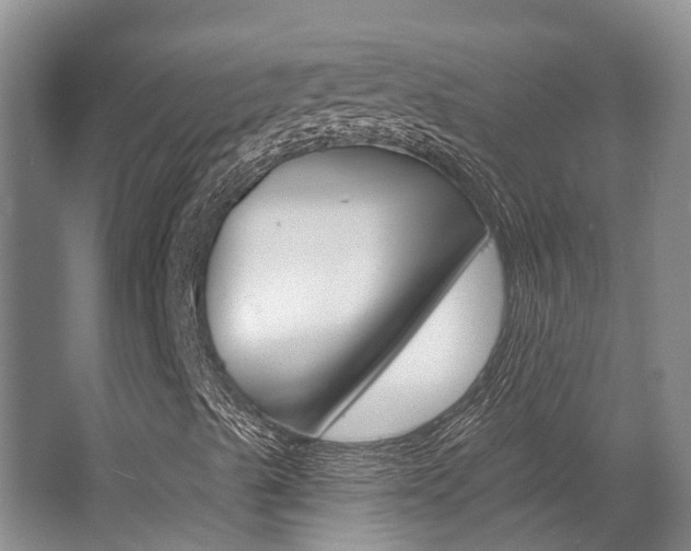 X0000062791489200512221118