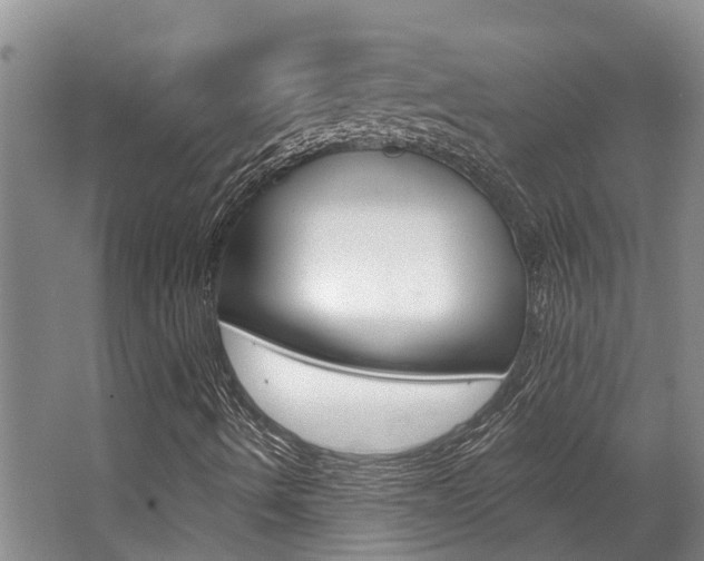 X0000062791490200512221118