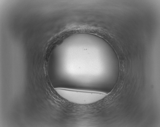 X0000062791493200512221118