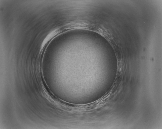 X0000062790004200512221402