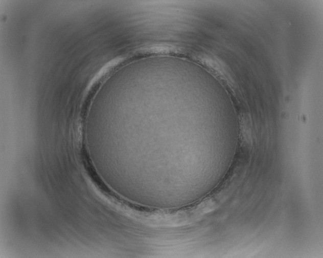 X0000062790016200512221402