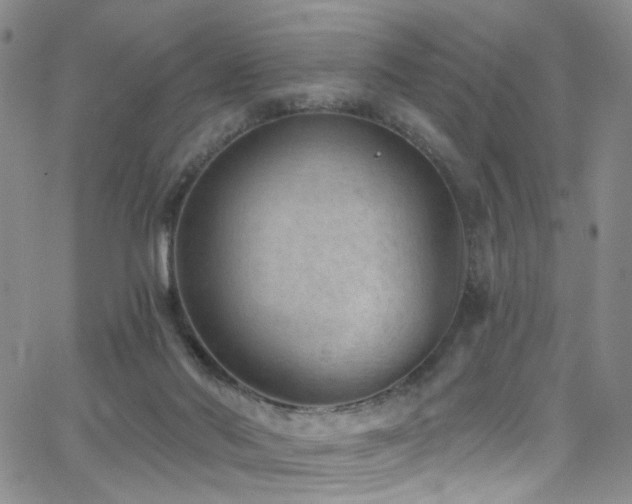 X0000062790022200512221402