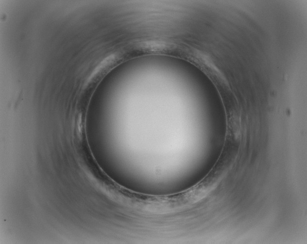X0000062790024200512221402
