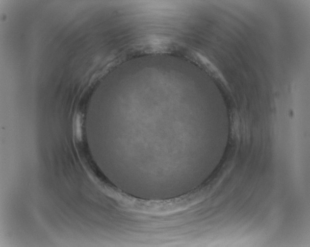 X0000062790026200512221402