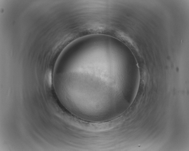 X0000062790027200512221402