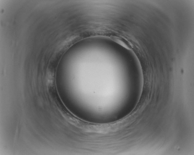 X0000062790033200512221402