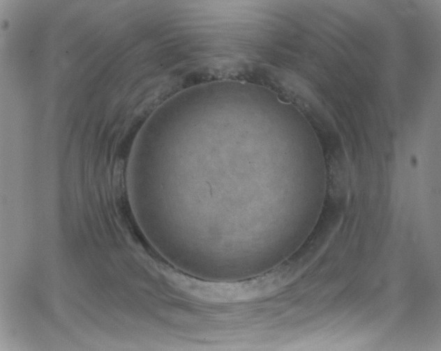 X0000062790034200512221402