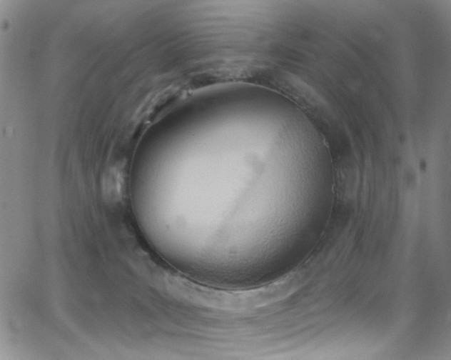X0000062790035200512221402