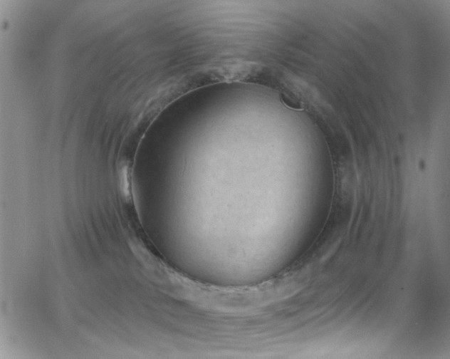 X0000062790042200512221402