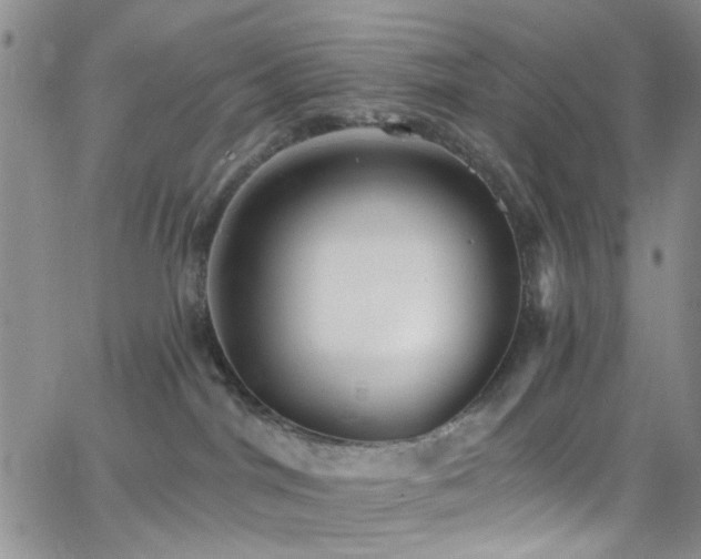 X0000062790044200512221402