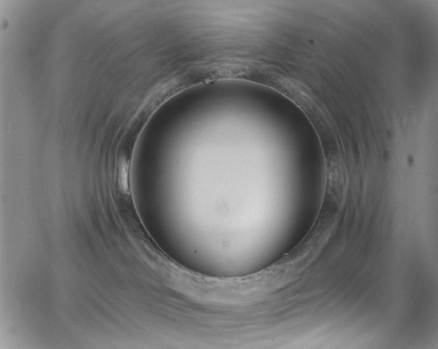X0000062790046200512221402