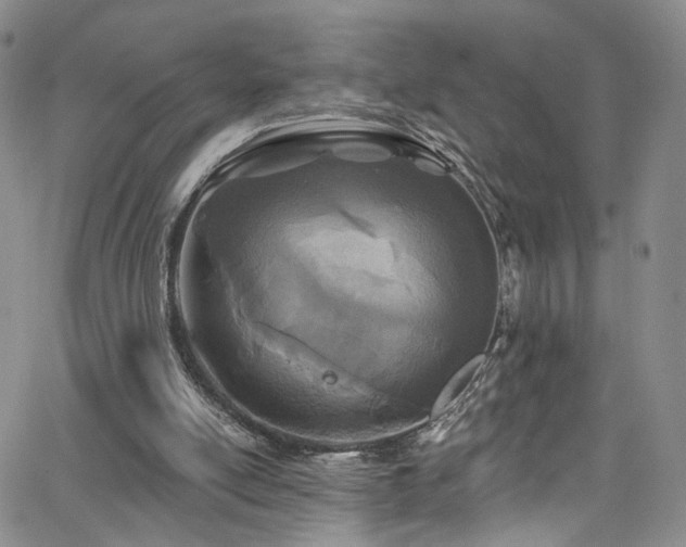 X0000062790054200512221401